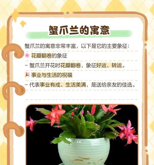 本星花语的寓意是什么？本星花语在花语文化中的地位如何？