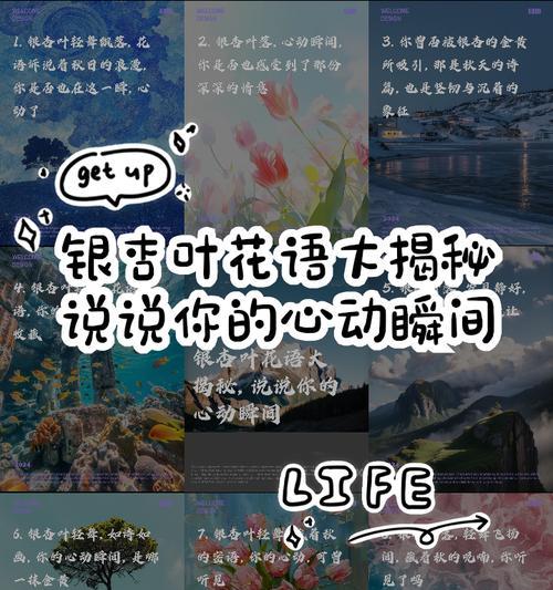 花语和叶的关系是什么？花语和叶在自然界中的联系？