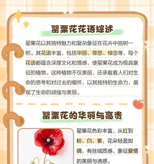 6大花语分别是什么？6大花语在花卉文化中的重要性？