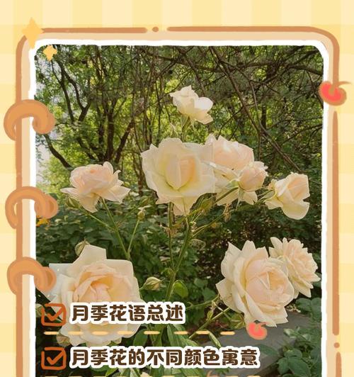 花语人的含义是什么？花语人在花语文化中的角色？