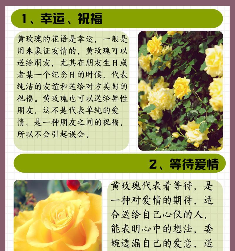 花语不香代表什么？花语不香在花语文化中的含义？