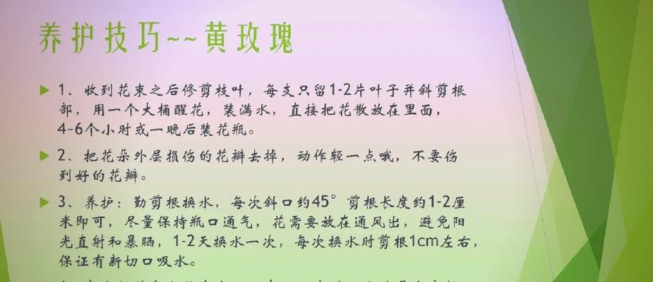 花语不香代表什么？花语不香在花语文化中的含义？