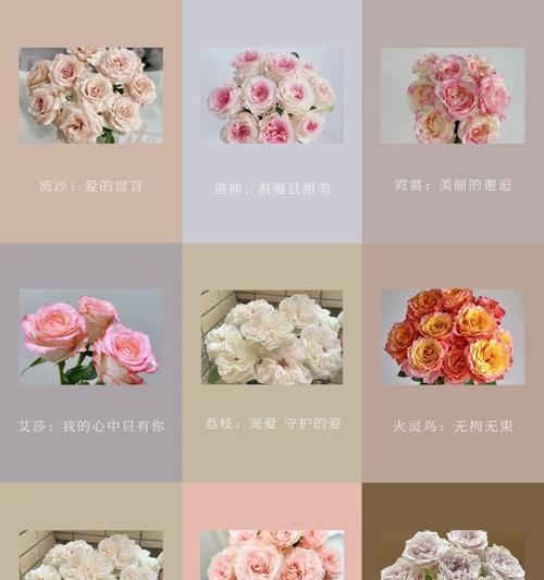 送表花语有哪些？送表时应该了解哪些花语？