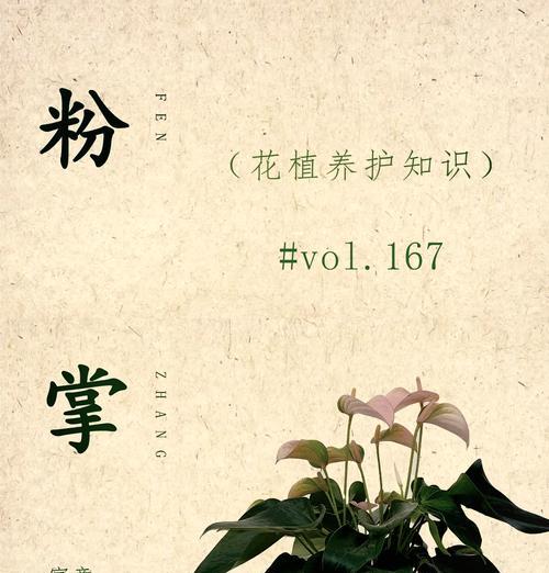 单粉花语是什么意思？如何正确理解单粉花的寓意？