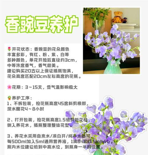 单粉花语是什么意思？如何正确理解单粉花的寓意？