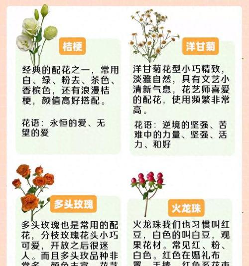 单粉花语是什么意思？如何正确理解单粉花的寓意？