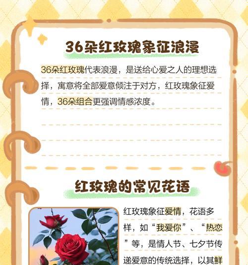 火花花语传递了哪些情感？火花花的花语有何寓意？