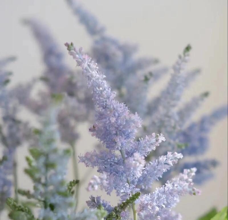花语用意通常是什么？如何解读花语背后的含义？