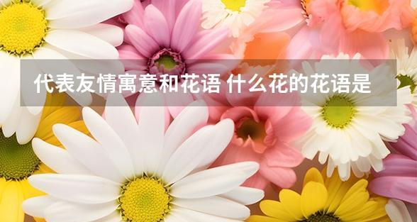 文的花语通常代表什么？文的花的花语有何讲究？