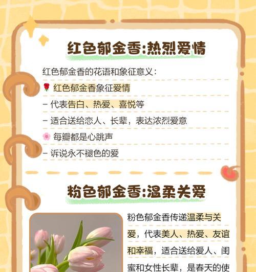 之花花语通常传递了哪些情感？之花的花语有何寓意？