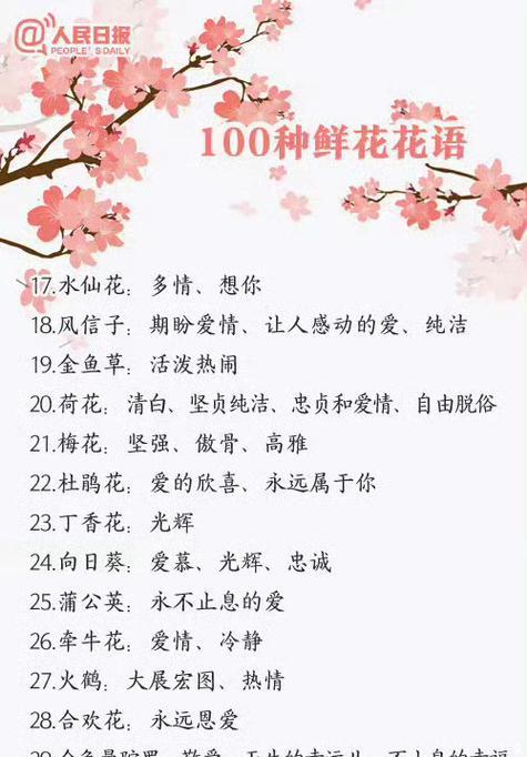 花语镜面是什么意思？花语镜面的含义有何讲究？