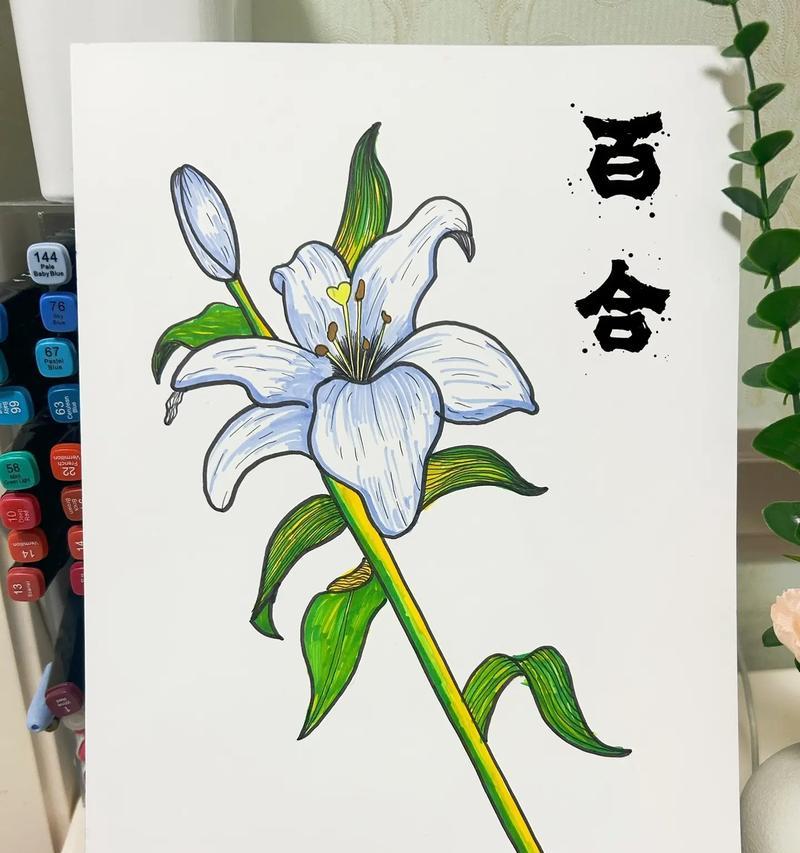 超兜花语有何特别之处？超兜花的花语代表了什么？