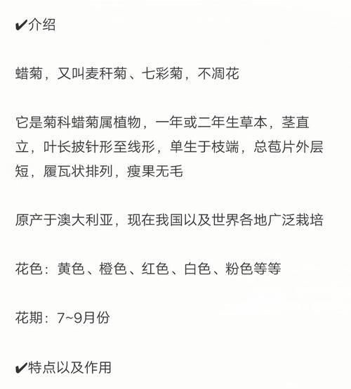 小蜡花语代表什么？小蜡花的花语有哪些含义？