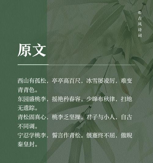 青松花语代表什么？青松的花语有何寓意？