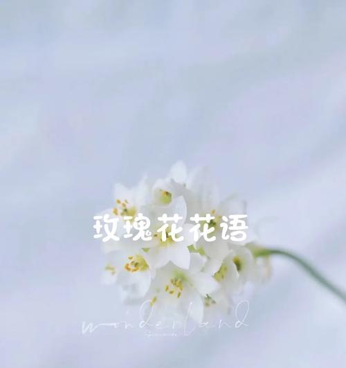 胡桃花语代表什么？胡桃花的花语有何含义？