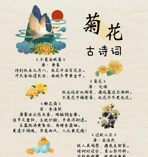 非菊的花语是什么？非菊花语有何特别含义？