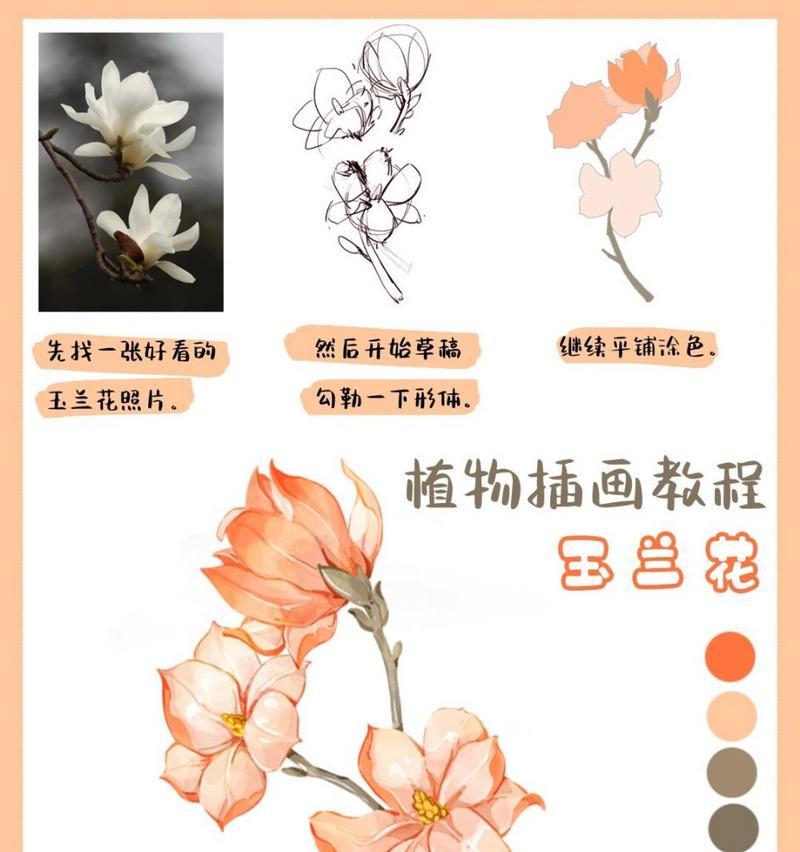 报恩花语是什么意思？如何正确表达报恩的情感？
