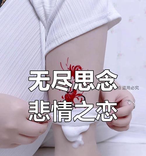 追忆花语有哪些含义？如何用花语表达怀念之情？