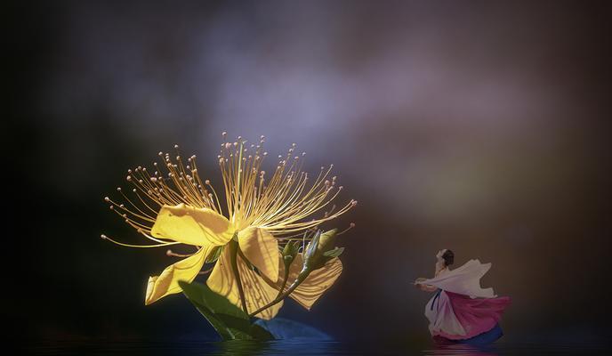 红果花语有哪些寓意？如何用红果花语传达情感？