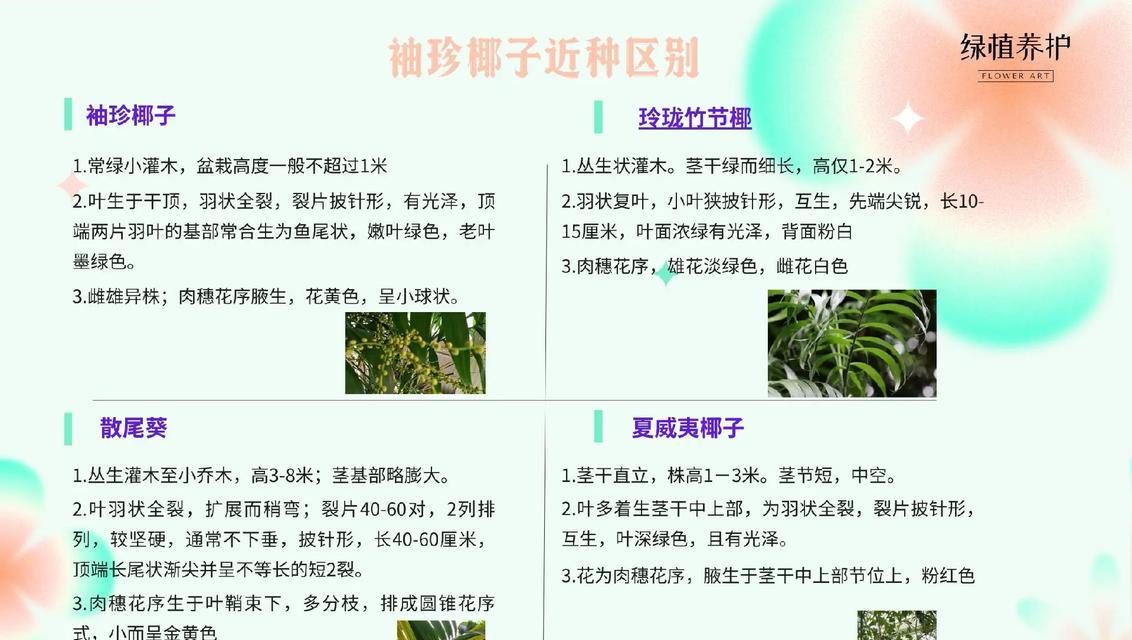 花语椰子代表了什么？在送花时应该注意什么？