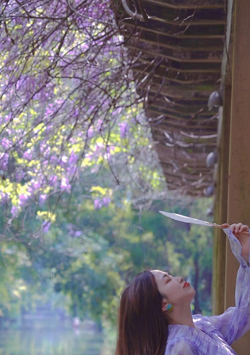 花语木行有哪些特点？花语木行的寓意是什么？