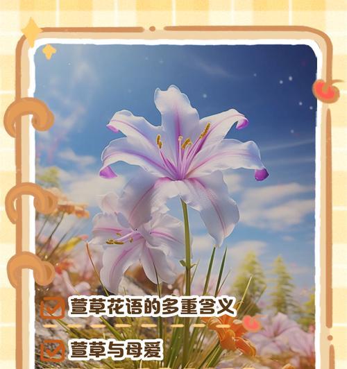 谖草花语代表了什么？谖草花语的含义是什么？