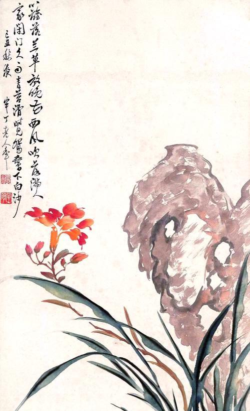 半鸟花语是什么意思？如何正确理解半鸟花的寓意？