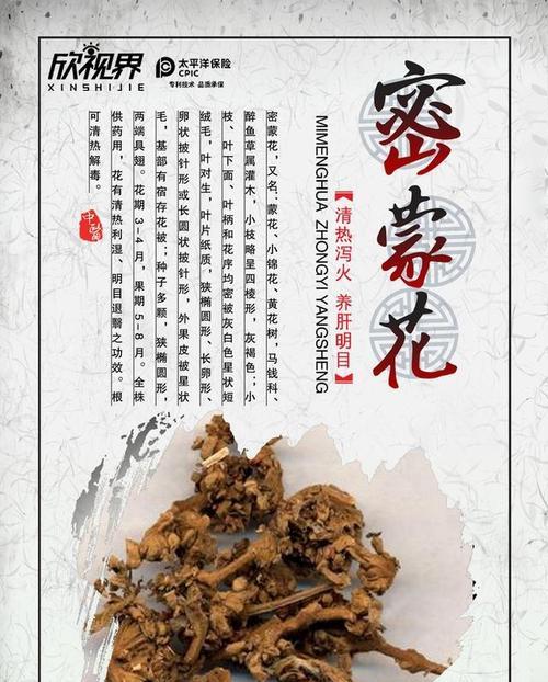 月蒙花语代表了什么？月蒙花的寓意是什么？