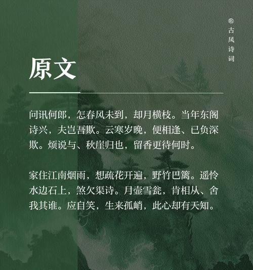 江梅花语有哪些？江梅代表了哪些情感？