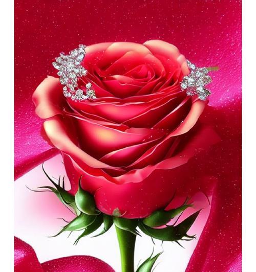 天蔓花语是什么意思？天蔓花象征着什么？