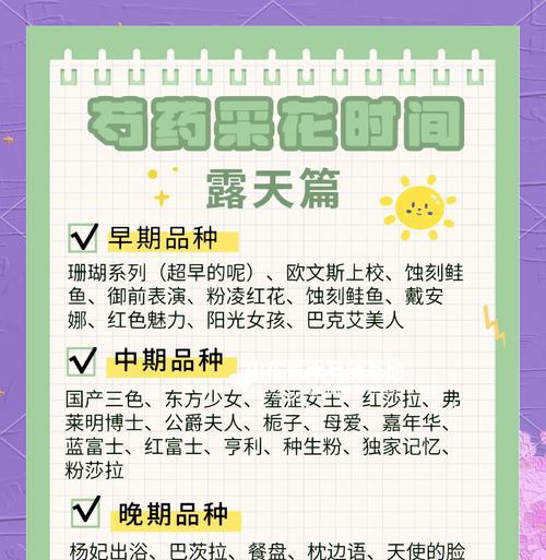 芍花花语有哪些？芍花代表了哪些情感？