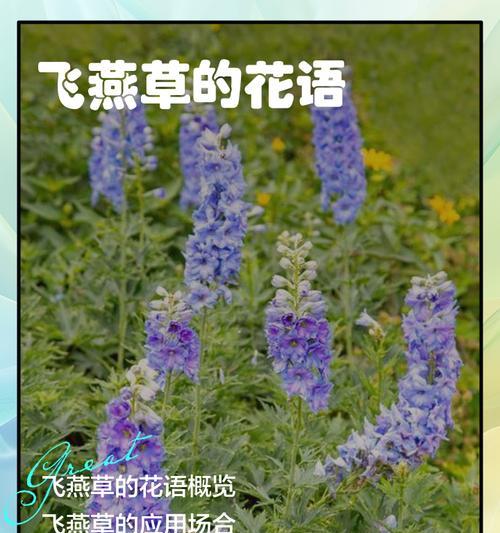 草心花语是什么？草心象征着什么？
