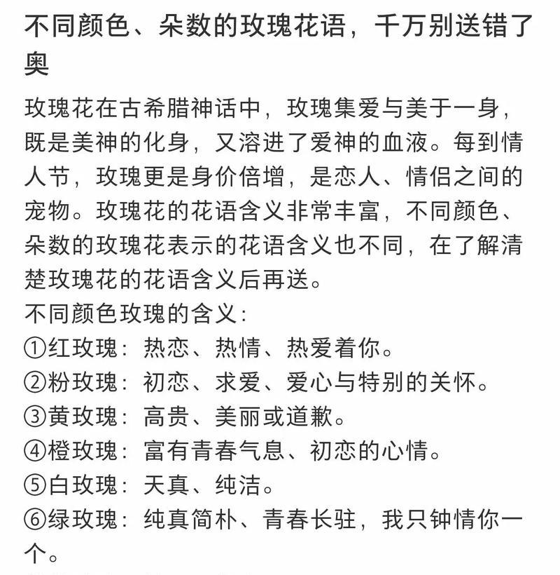 宵花花语的含义是什么？如何选择合适的宵花？