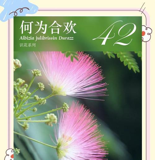 樟木花语的象征意义是什么？在园林设计中如何应用？