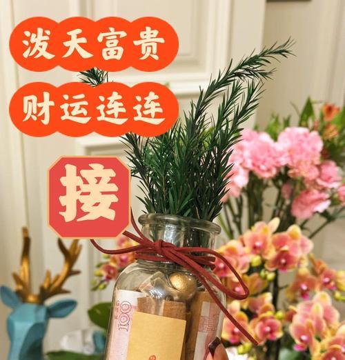 玉桂花语代表什么？玉桂的花语有何特别之处？