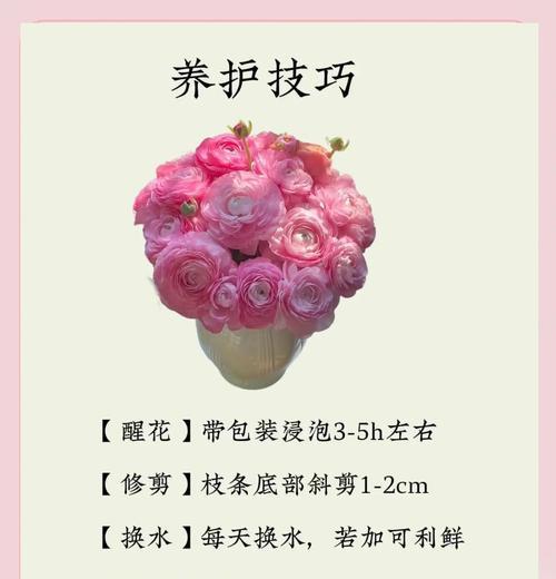 洋果花语有何深意？洋果的花语代表什么？