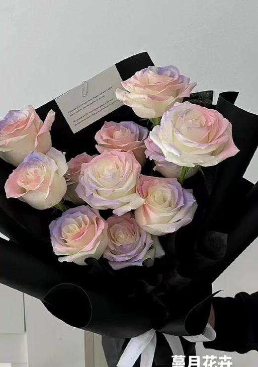 姬寿花语是什么意思？姬寿的花语有何寓意？