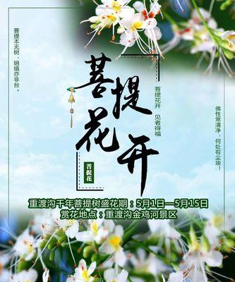 福由花语是什么？福由的花语有何特别之处？