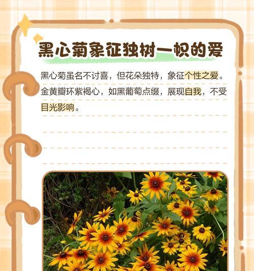 菊华花语是什么？菊华的花语有何特别之处？