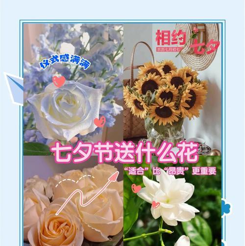 花语芝香有何深意？芝香的花语代表什么？