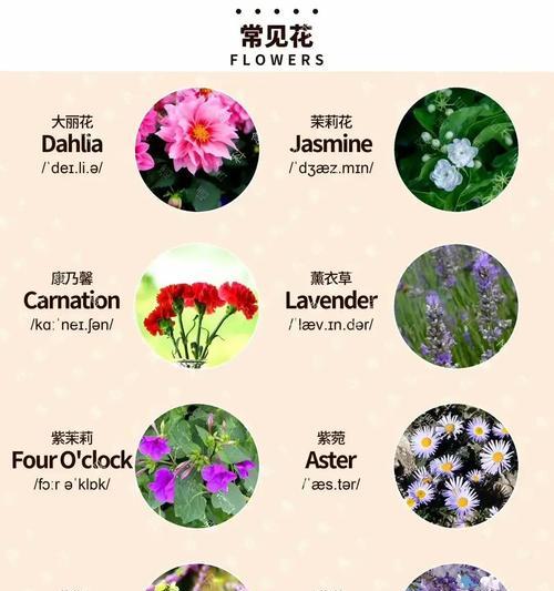 水棠花语代表什么？水棠的花语有何含义？