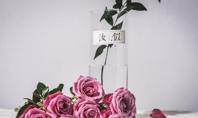 台兰花语是什么？如何表达爱意？