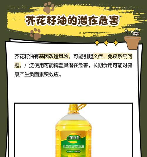 芥的花语有何深意？如何用芥花表达情感？