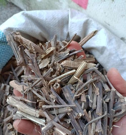 排草花语是什么？排草花的寓意有哪些？