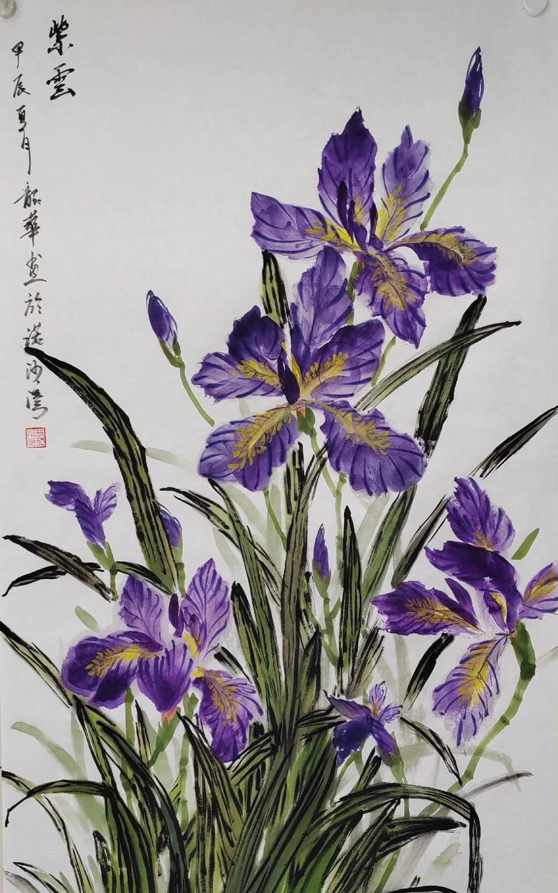 鸢罗花语有何寓意？鸢罗花代表了什么情感？