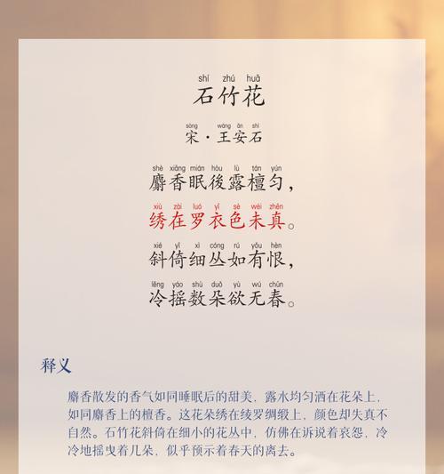 武竹花语有哪些含义？武竹花象征着什么？