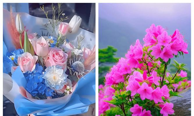 8种花语分别是什么？如何用花语表达心意？