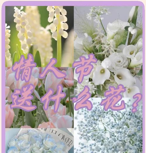 8种花语分别是什么？如何用花语表达心意？