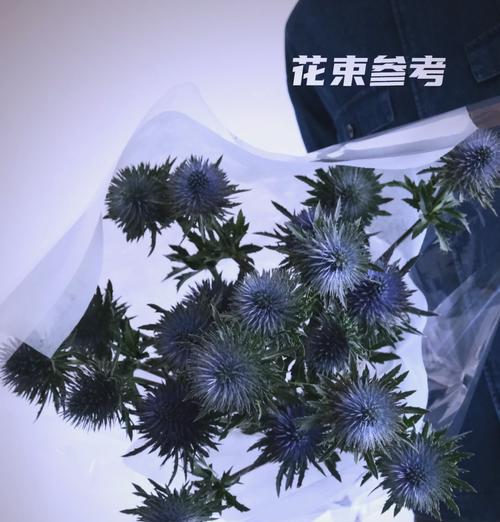 芫茜花语是什么意思？芫茜植物的花语有何特别之处？