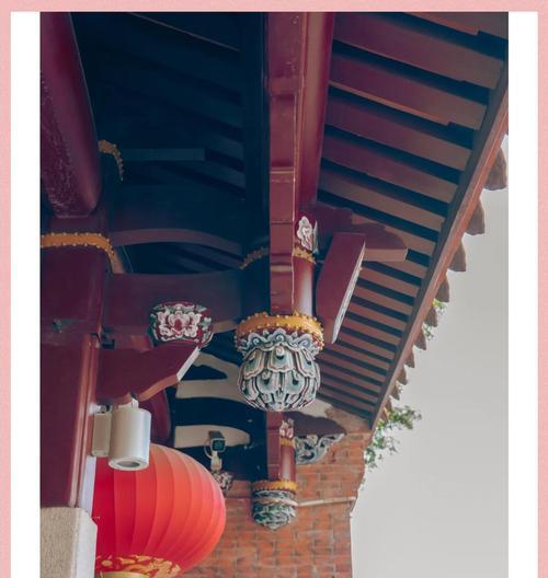柱花花语有何寓意？柱花植物的花语背后的故事是什么？